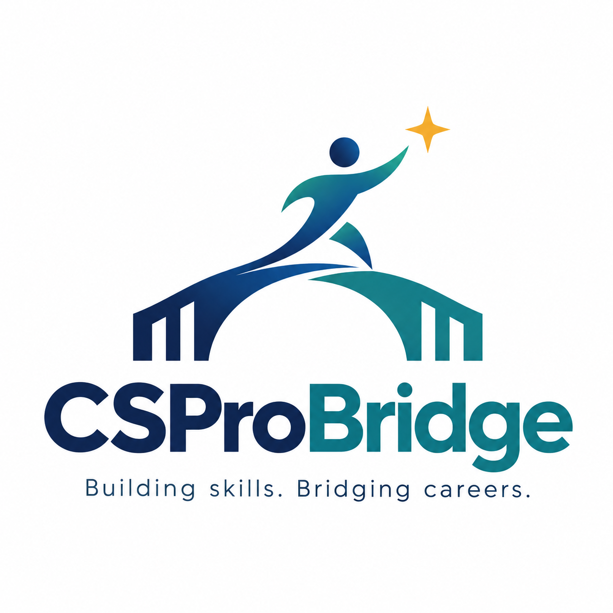 CSProBridge